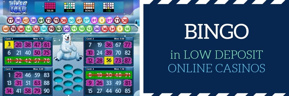 Bingo Bingo
